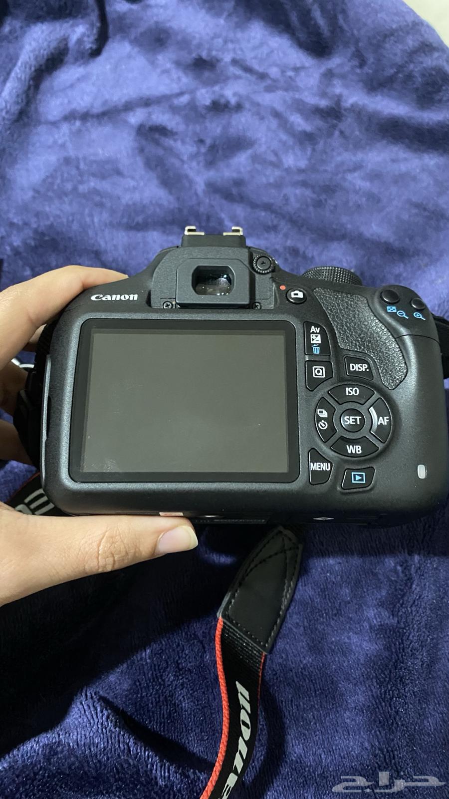 كاميرا كانون احترافيه تصوير و فديو64616304870529113