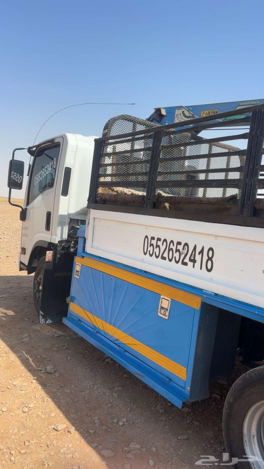 Dina Masha'er64160696444802110