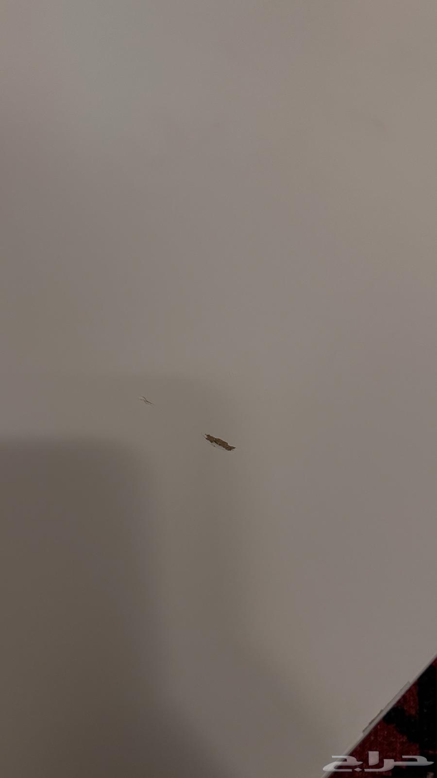 IKEA Table Top64622899661697114