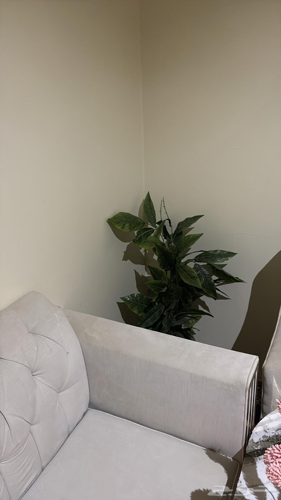 Sofa used for less than one year, clean and new64621454996610110