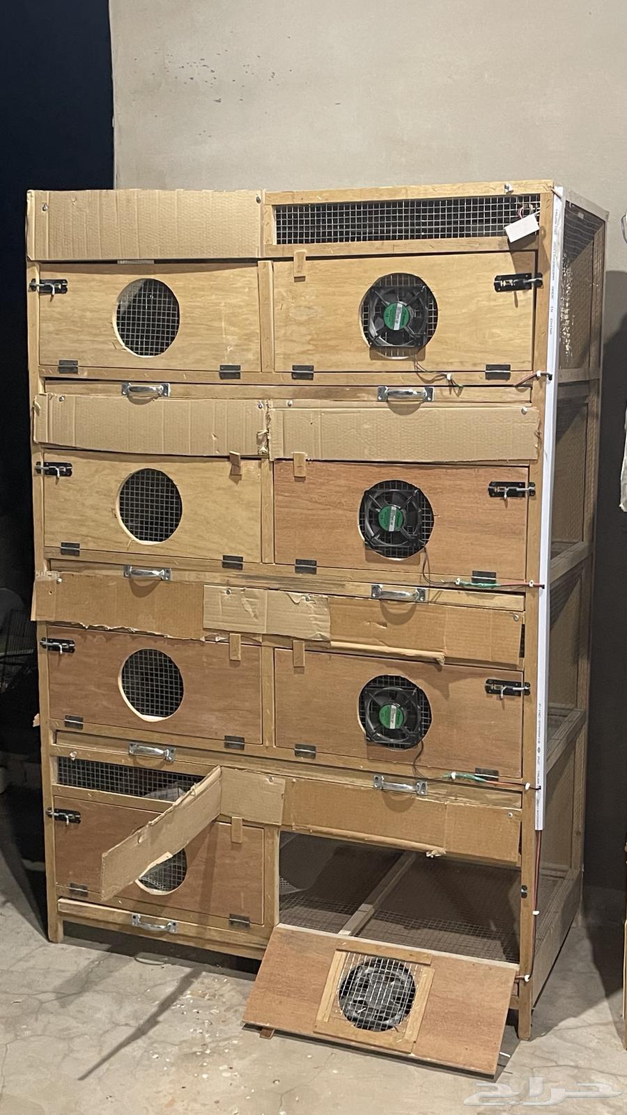 محاكر حمام وصوص للبيع نظيفه جدا64562993095425110