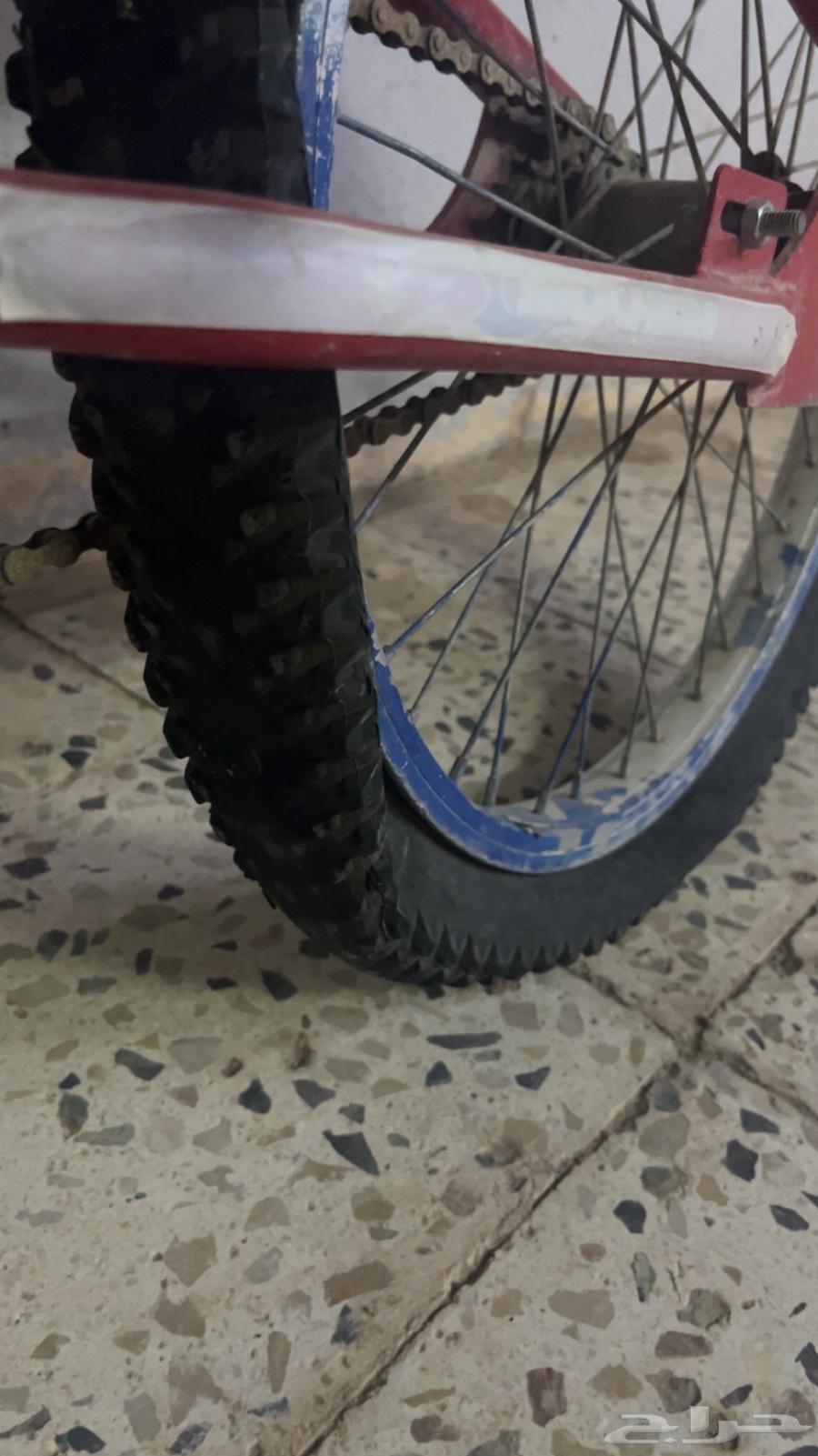 للبيع سيكل كوبرا حجم 2064623036167937111