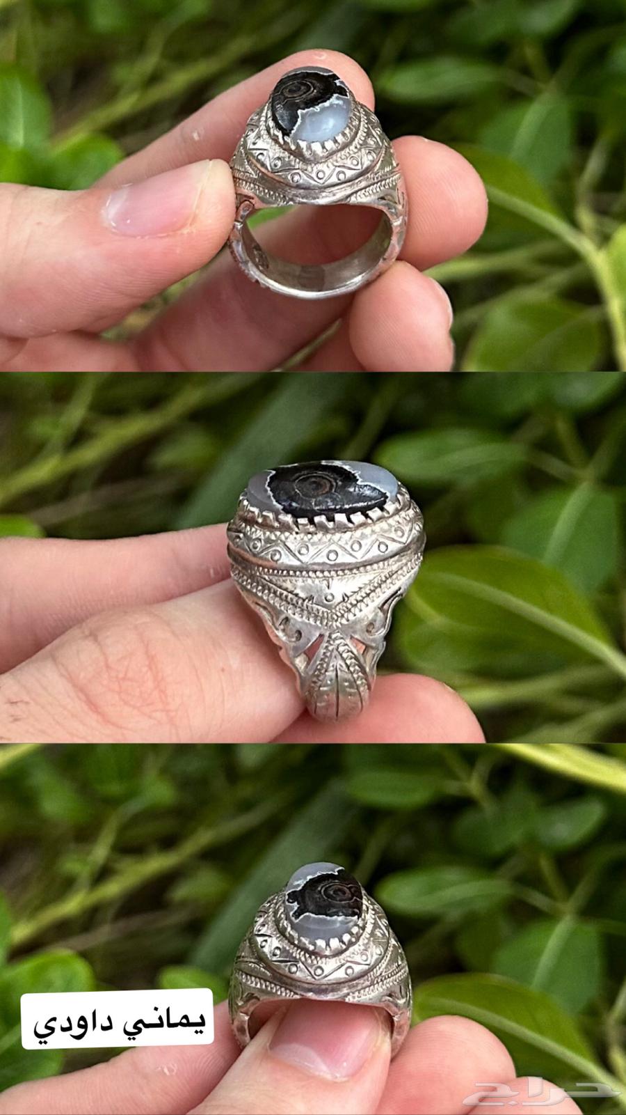 خاتم يماني دودي عين الذيب64618040835715110