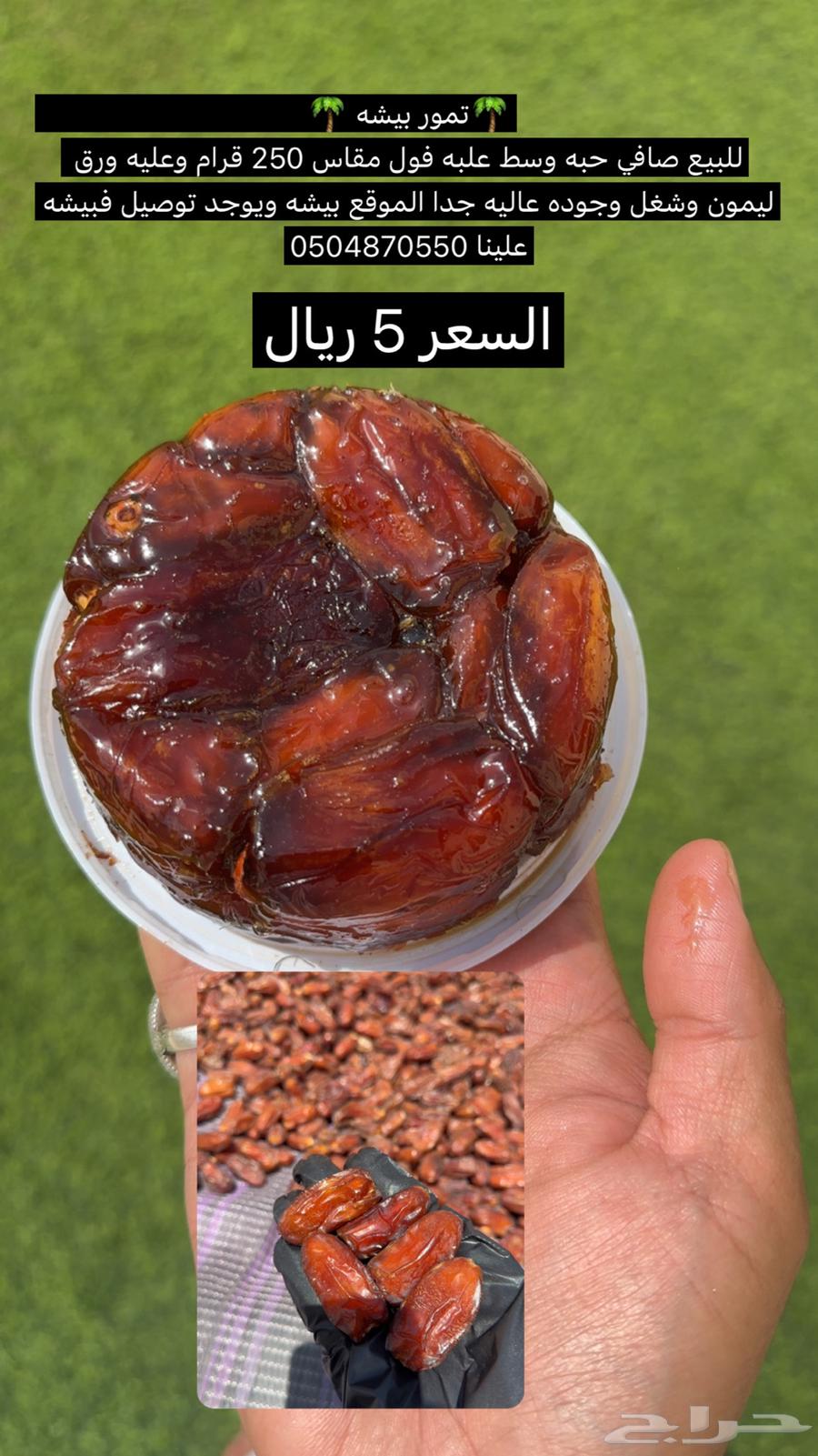 للبيع صفري بيشه64616728222721111