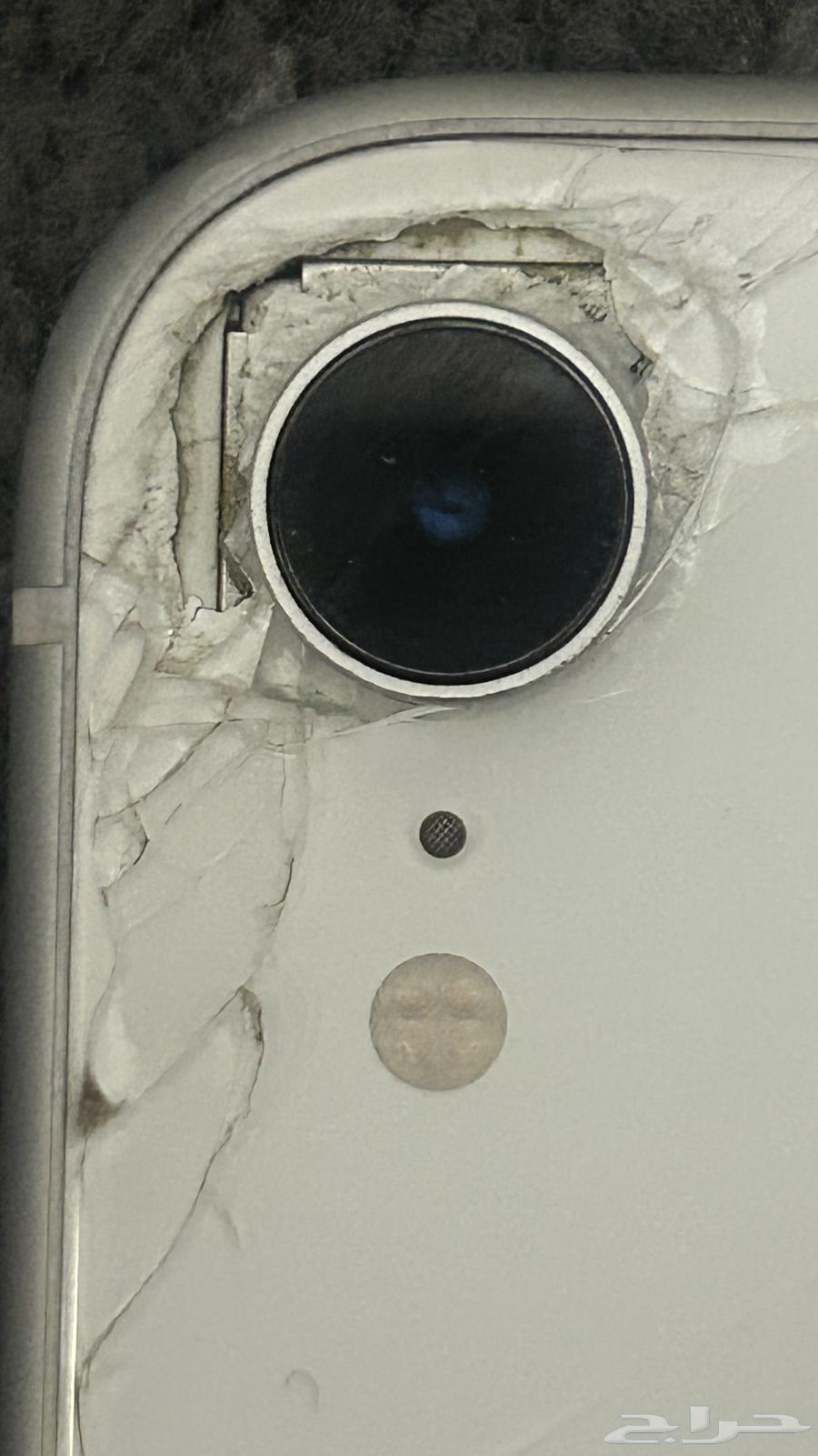 iPhone XR64624266535041113