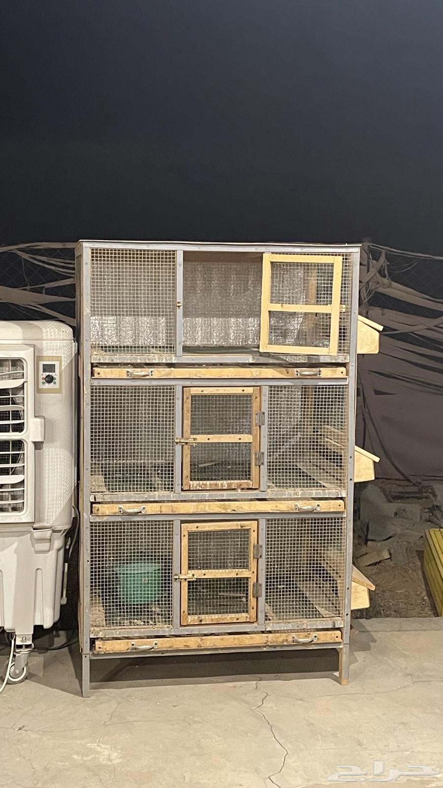 محاكر حمام وصوص للبيع نظيفه جدا64562993095425114