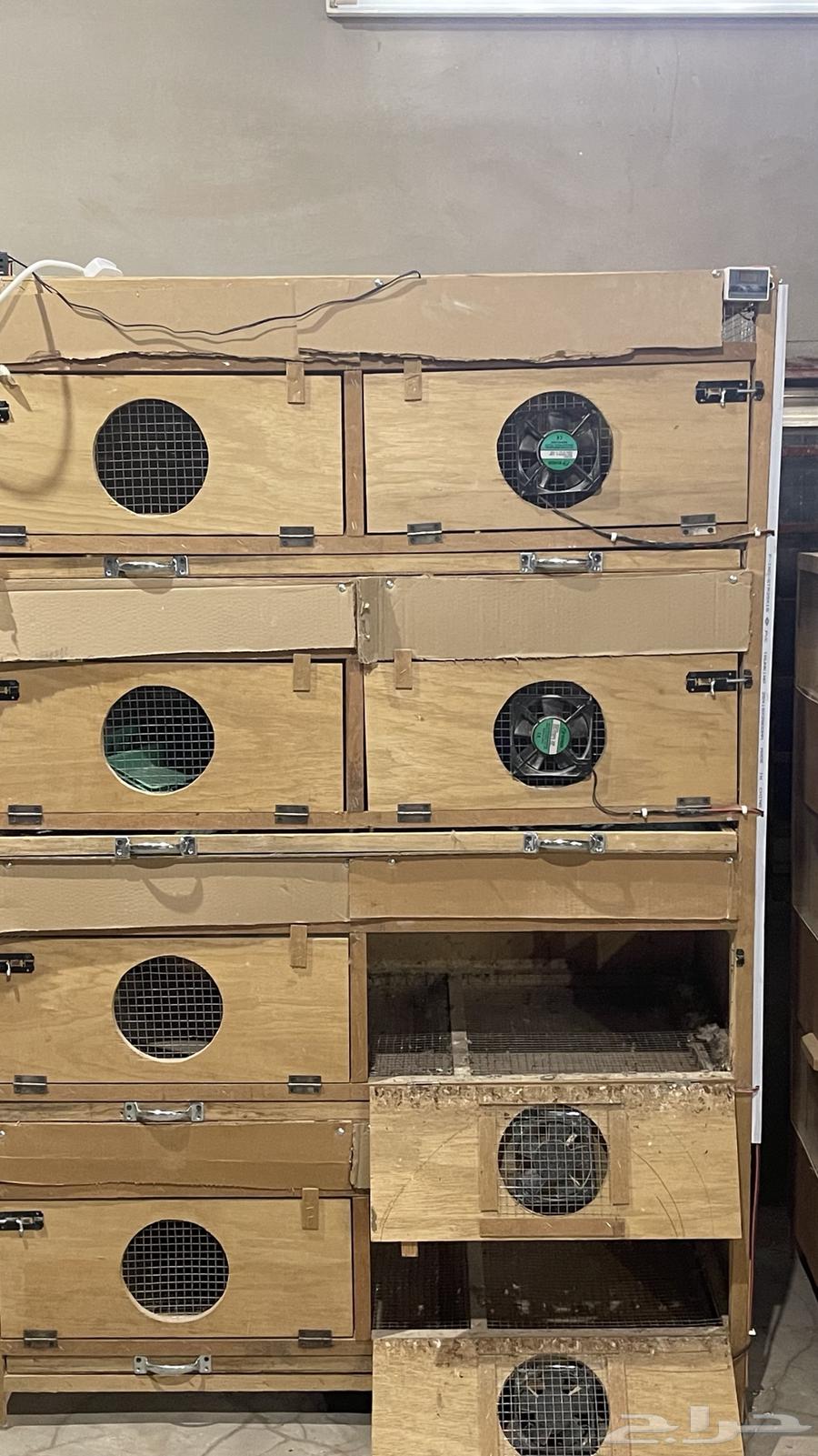 محاكر حمام وصوص للبيع نظيفه جدا64562993095425111