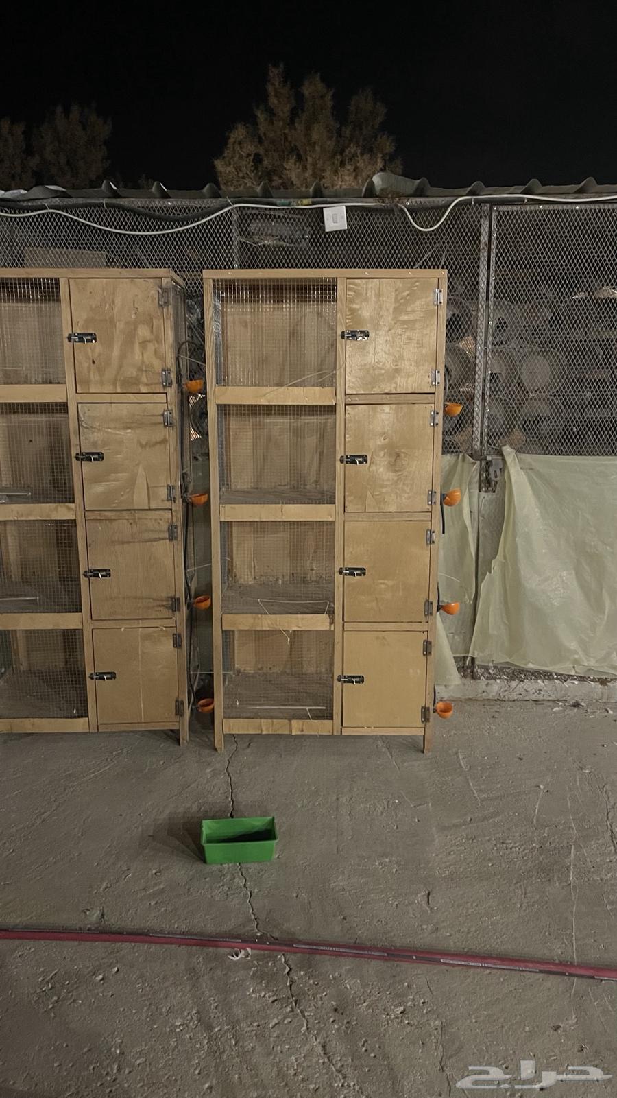 محاكر حمام وصوص للبيع نظيفه جدا64562993095425112