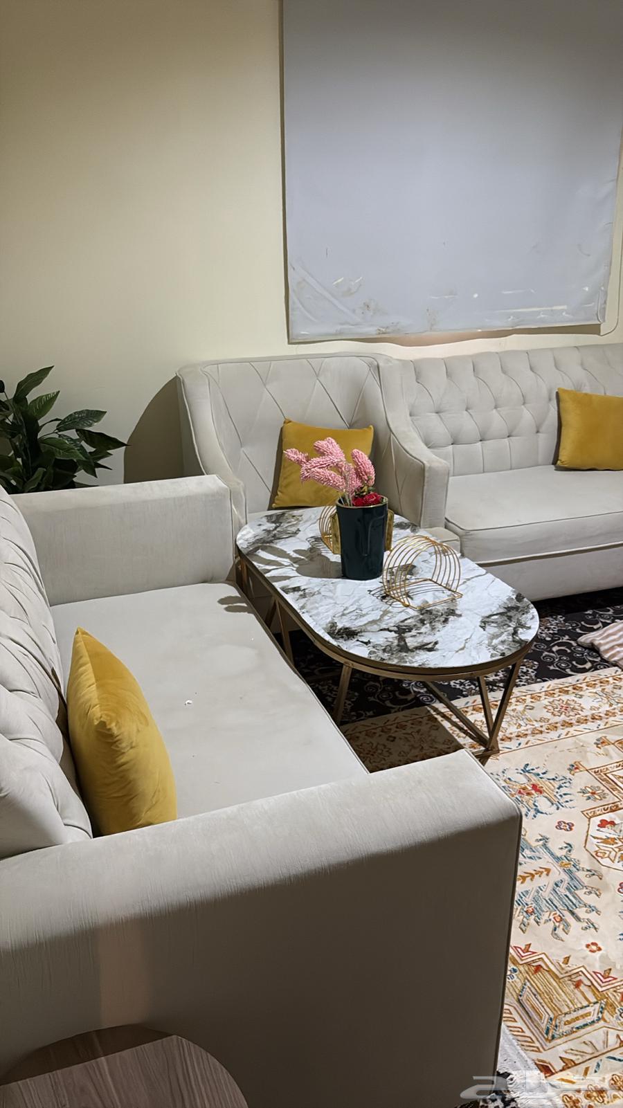 Sofa used for less than one year, clean and new64621454996610111