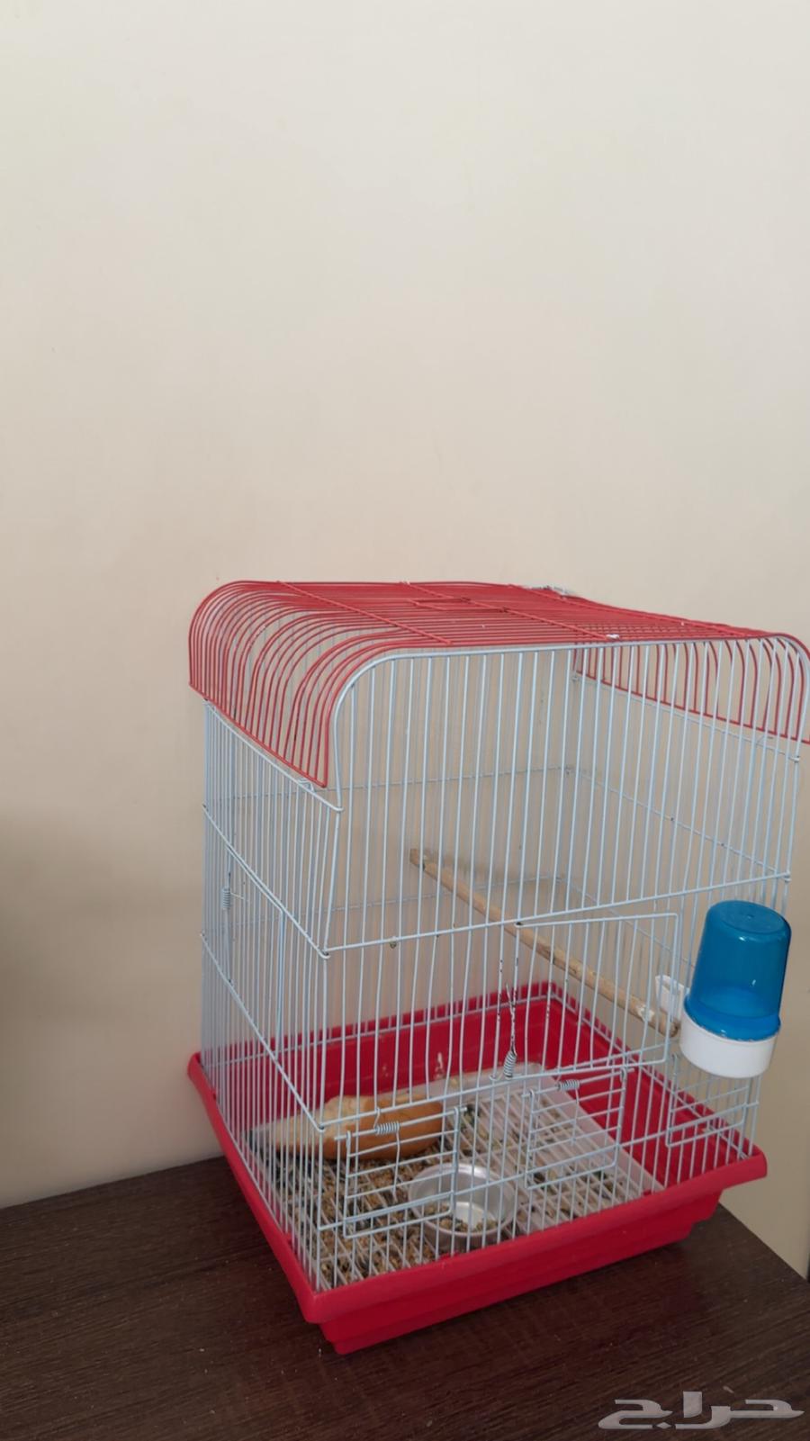 طير كروان للبيع64620568148739110