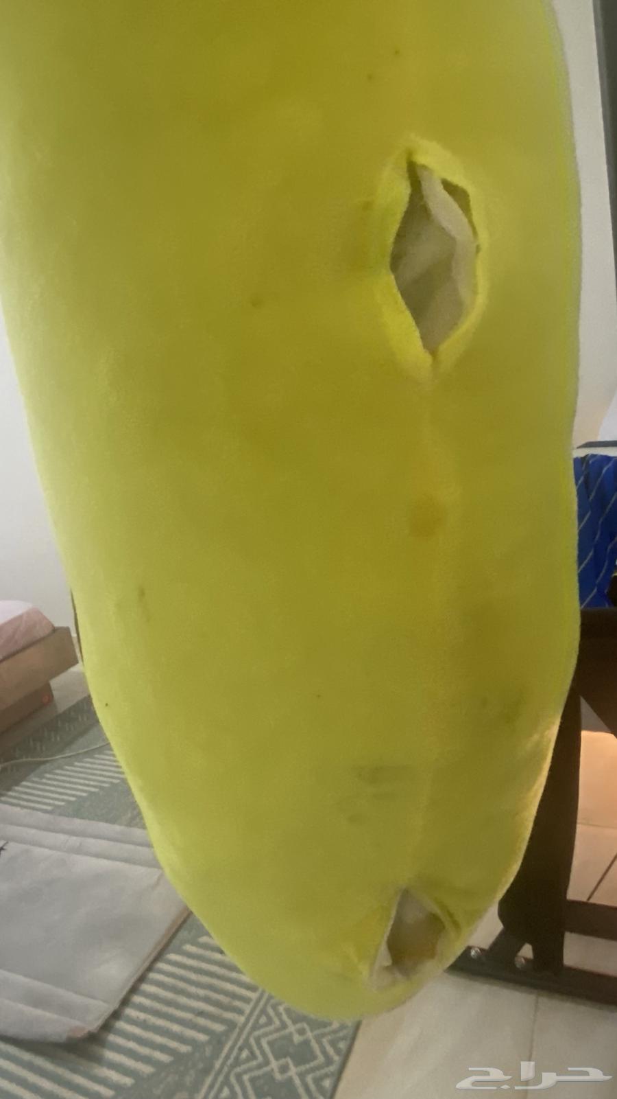 موزه للبيع64623466982914111