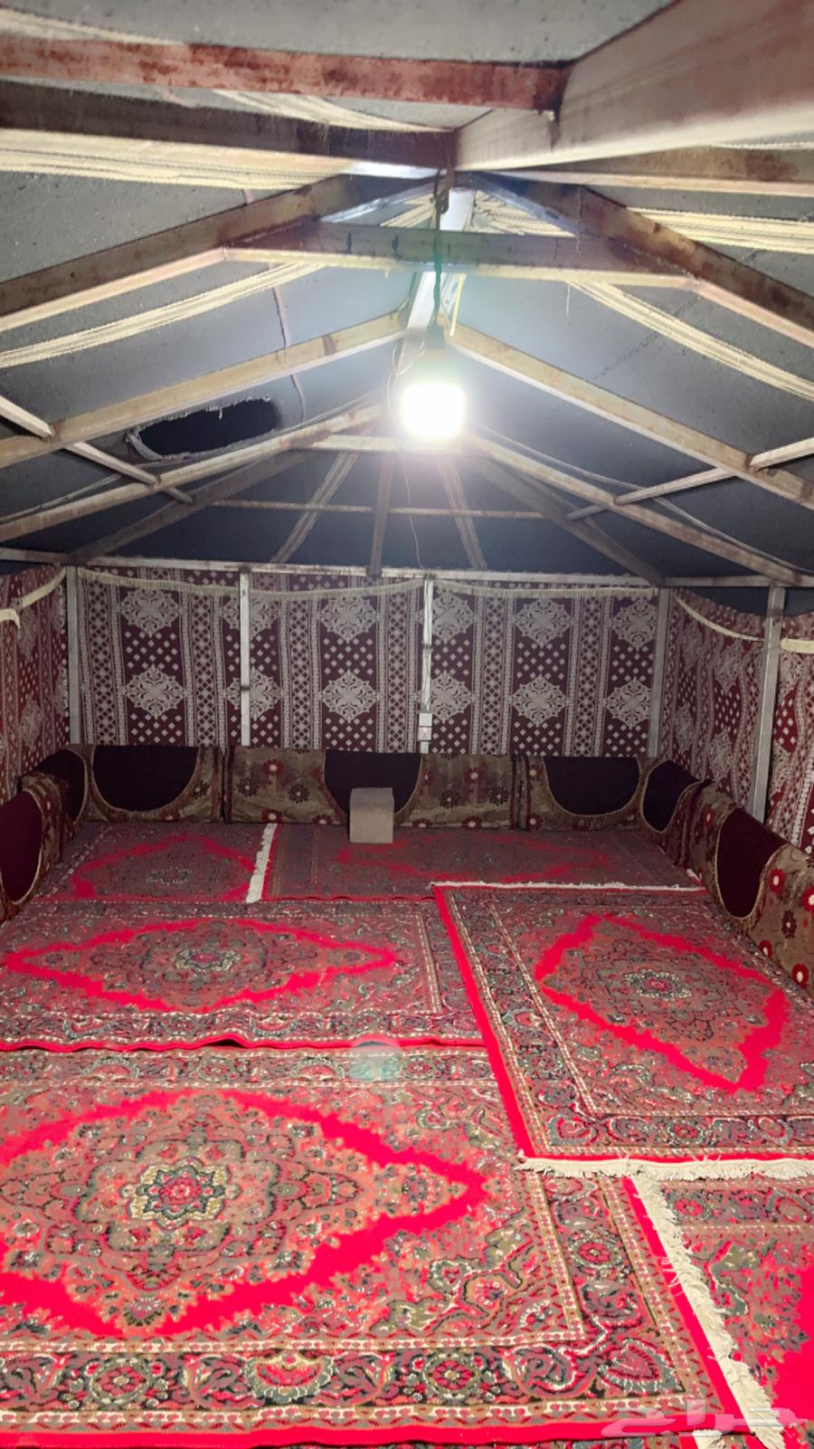 بيت شعر 5 في 7 على حديد قوي و تيوبات قويه جدا استخدام سنه64621254854275114