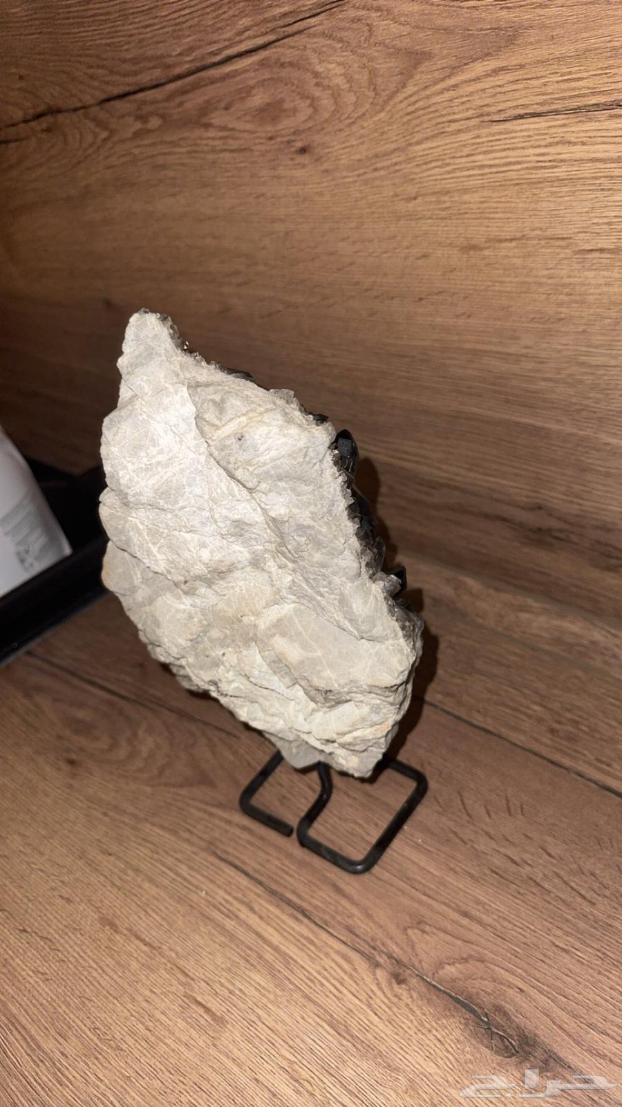 تحفة حجرية نادرة  أصلها فالينسيا  قيمتها 80064625331693315113