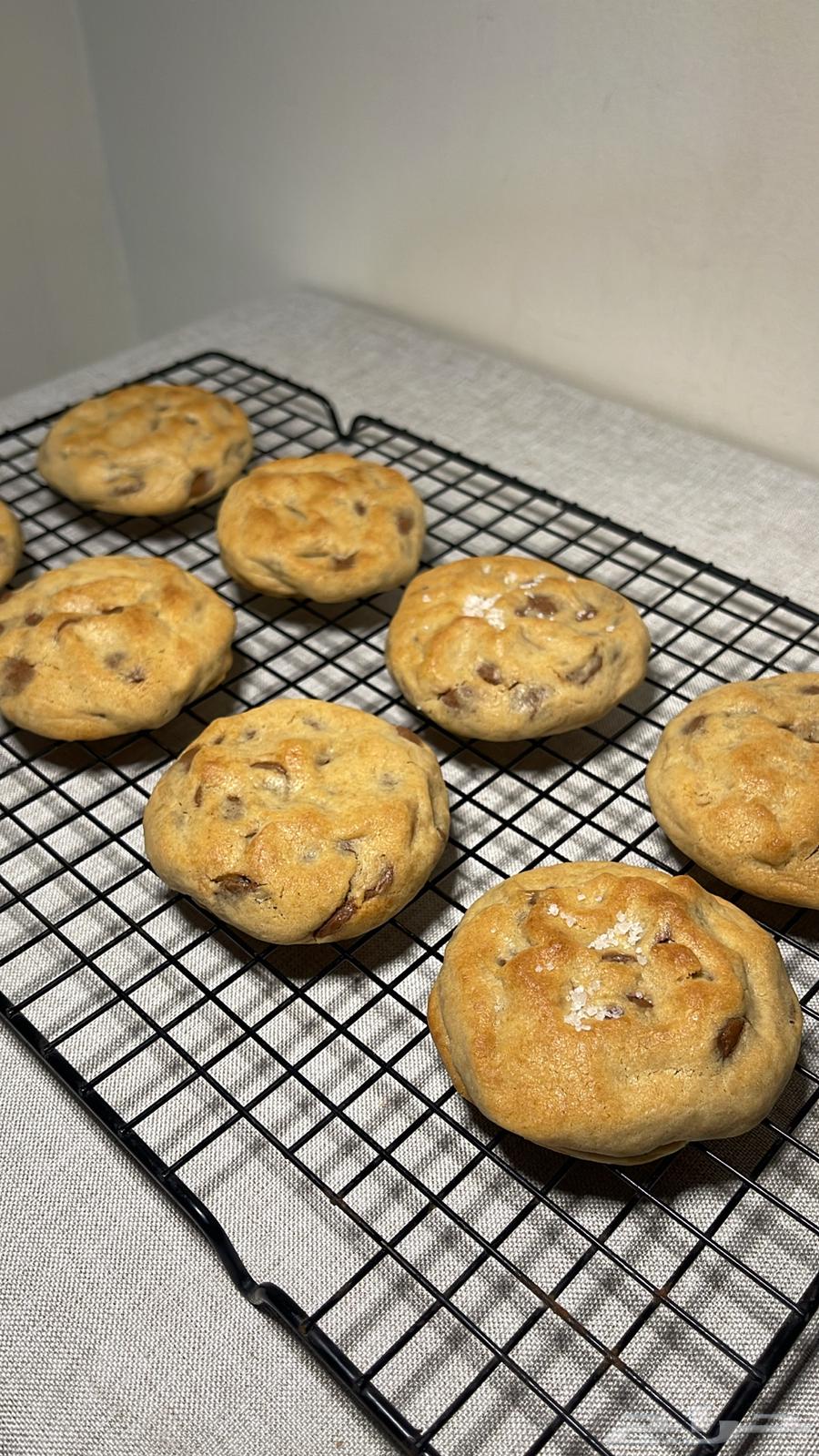 نيويورك كوكيز64564922099587110