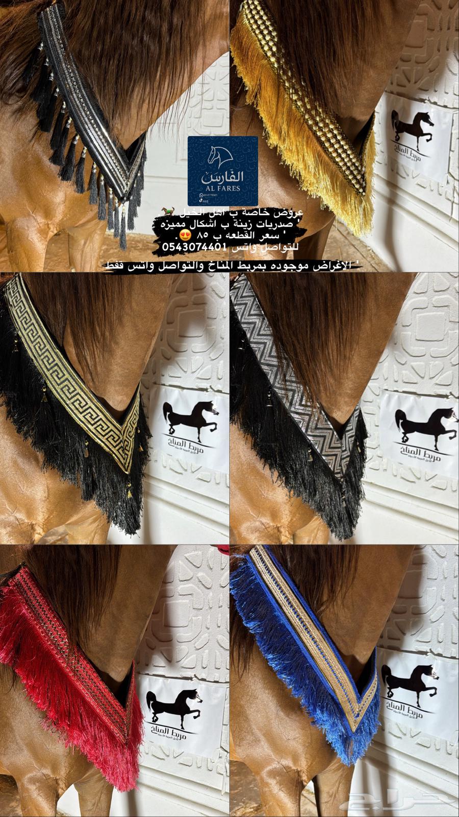 عروض لزينة الخيل64620904964737110