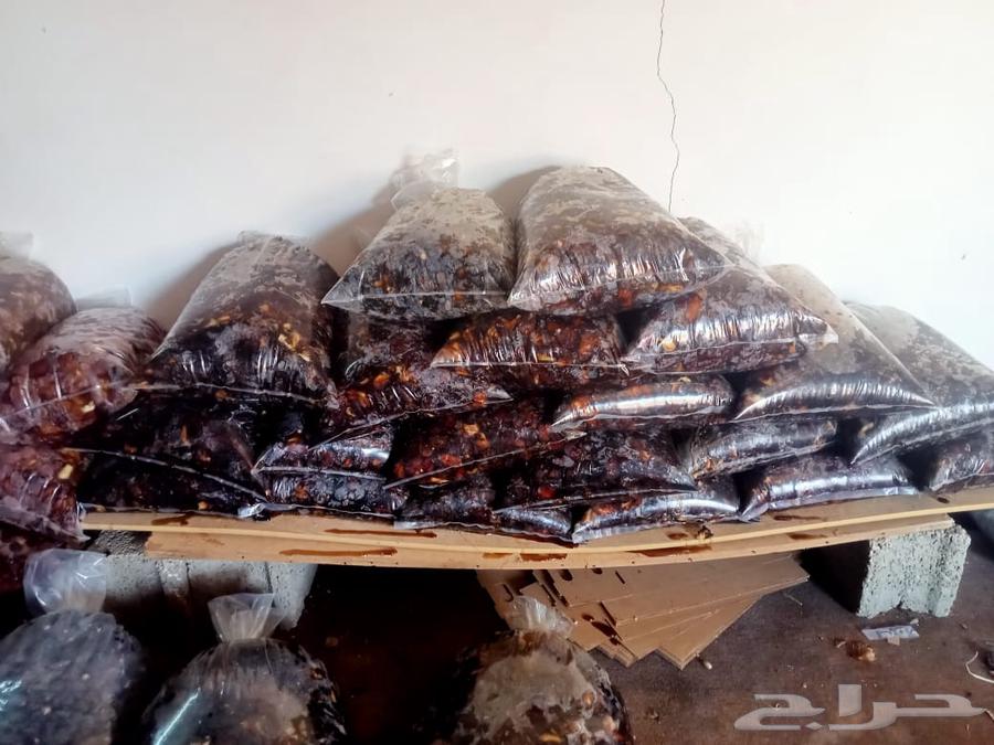Sweet Dates in a Bag for 200 SAR64620480057475110