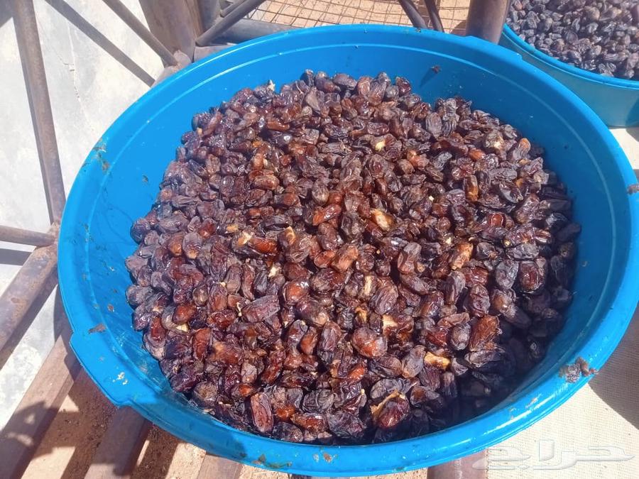 Sweet Dates in a Bag for 200 SAR64620480057475111