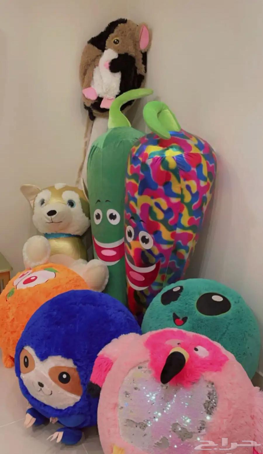 العاب موسم جدة64616840361987110