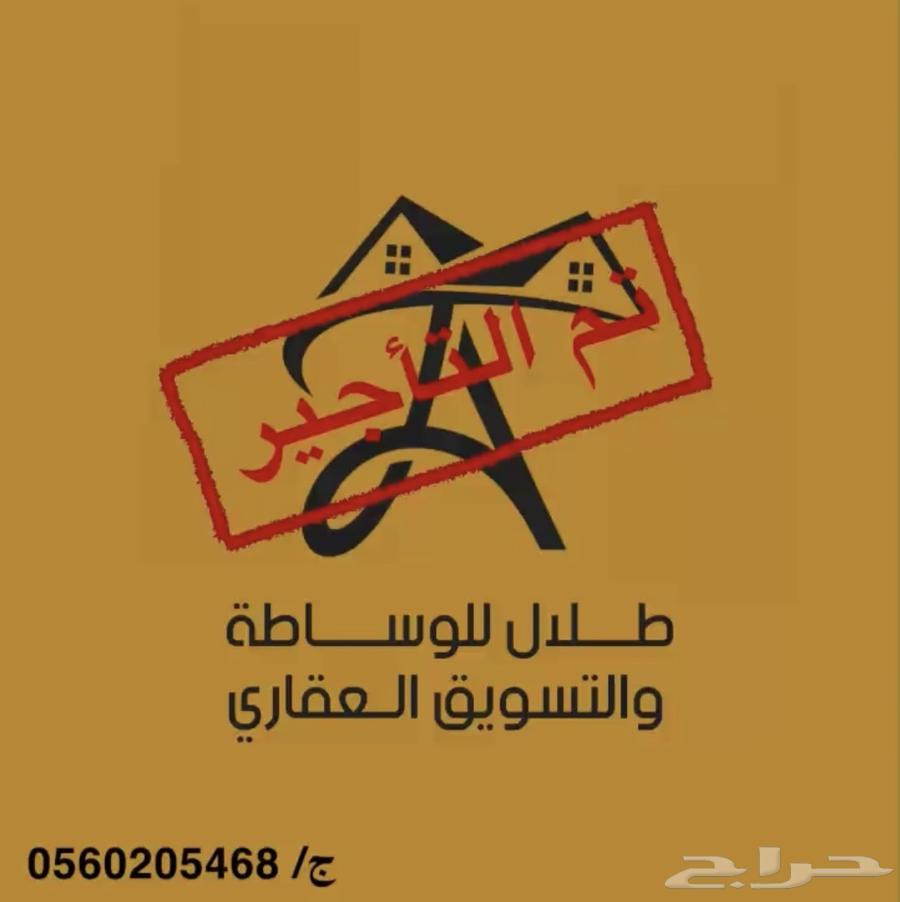 شقة للإيجار