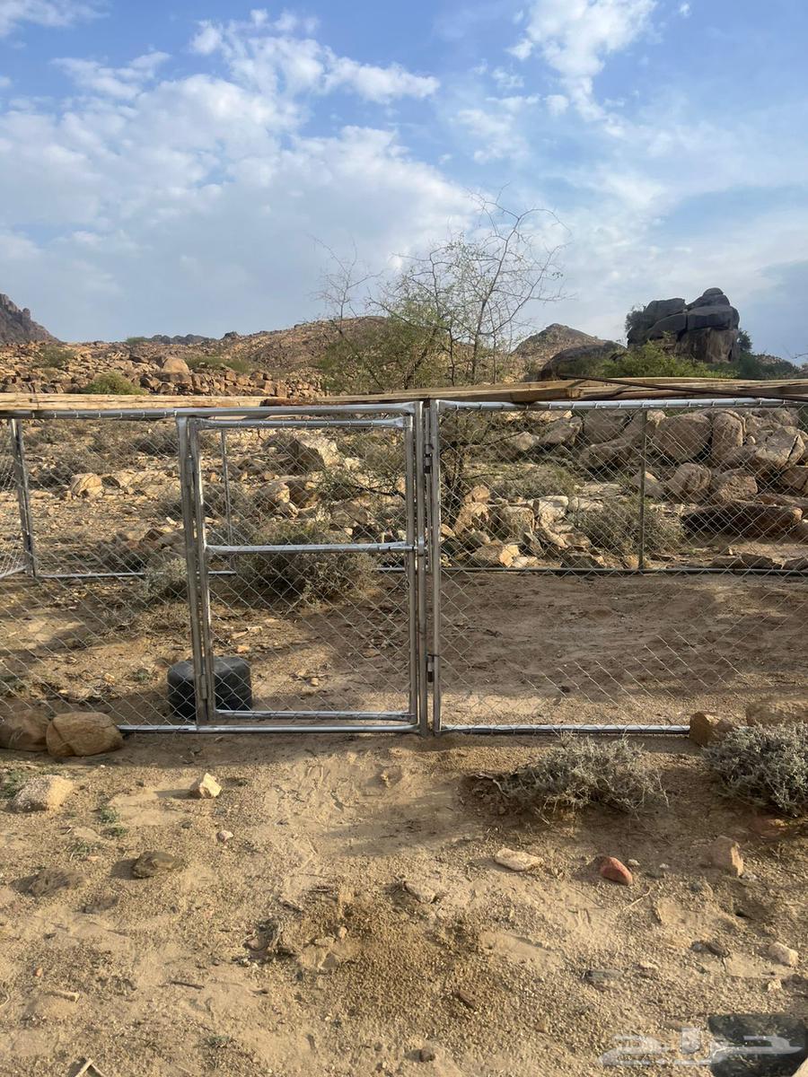 شبك للغنم او الابل64620792625538110