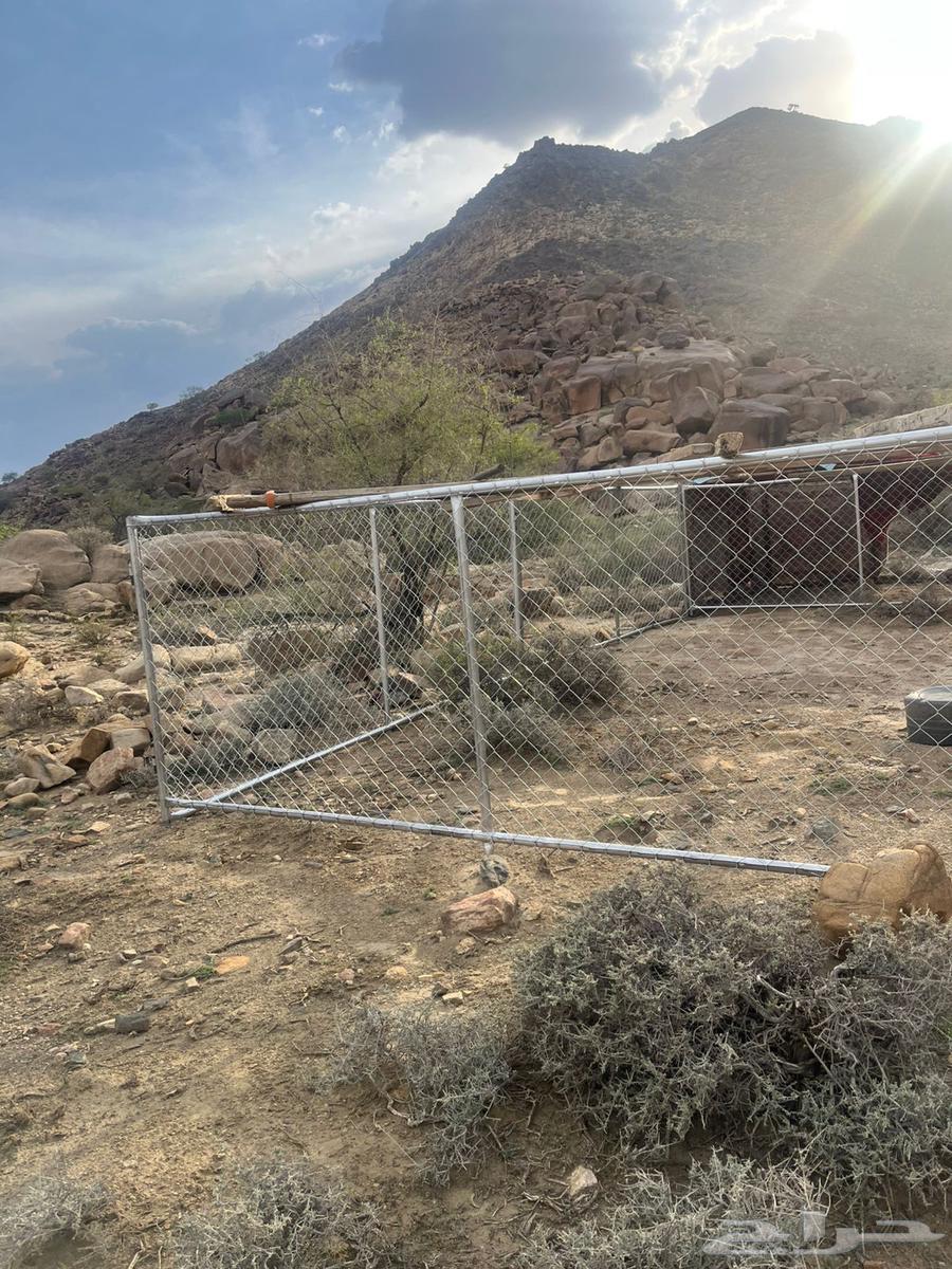 شبك للغنم او الابل64620792625538113