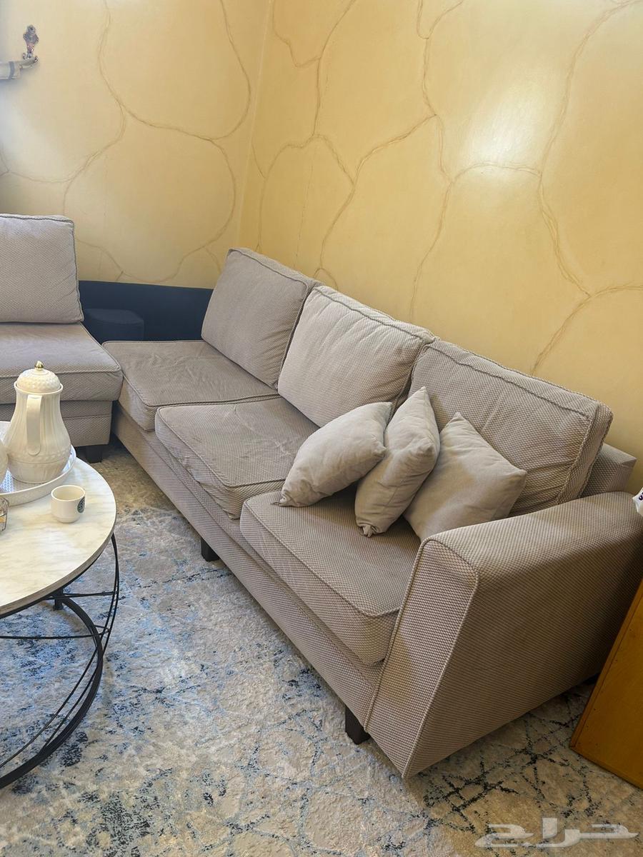 كنب نظيف حرف L64620842622594111