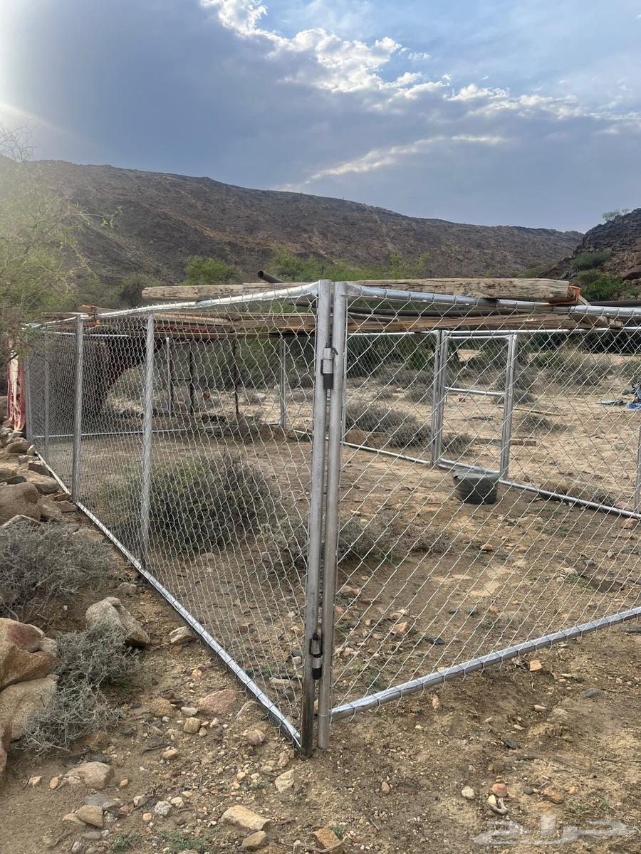 شبك للغنم او الابل64620792625538114