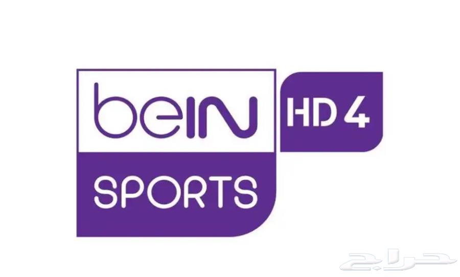 تجديد بي ان مصري64610703964034110