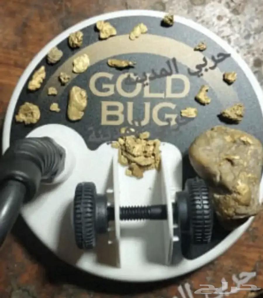 كاشف الذهب والمعادن الأمريكي فيشر64619392996611110