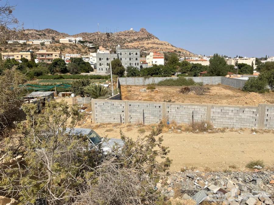 للبيع مزرعة في الهدا بصك شرعي زراعي خارج النطاق64147626671747112