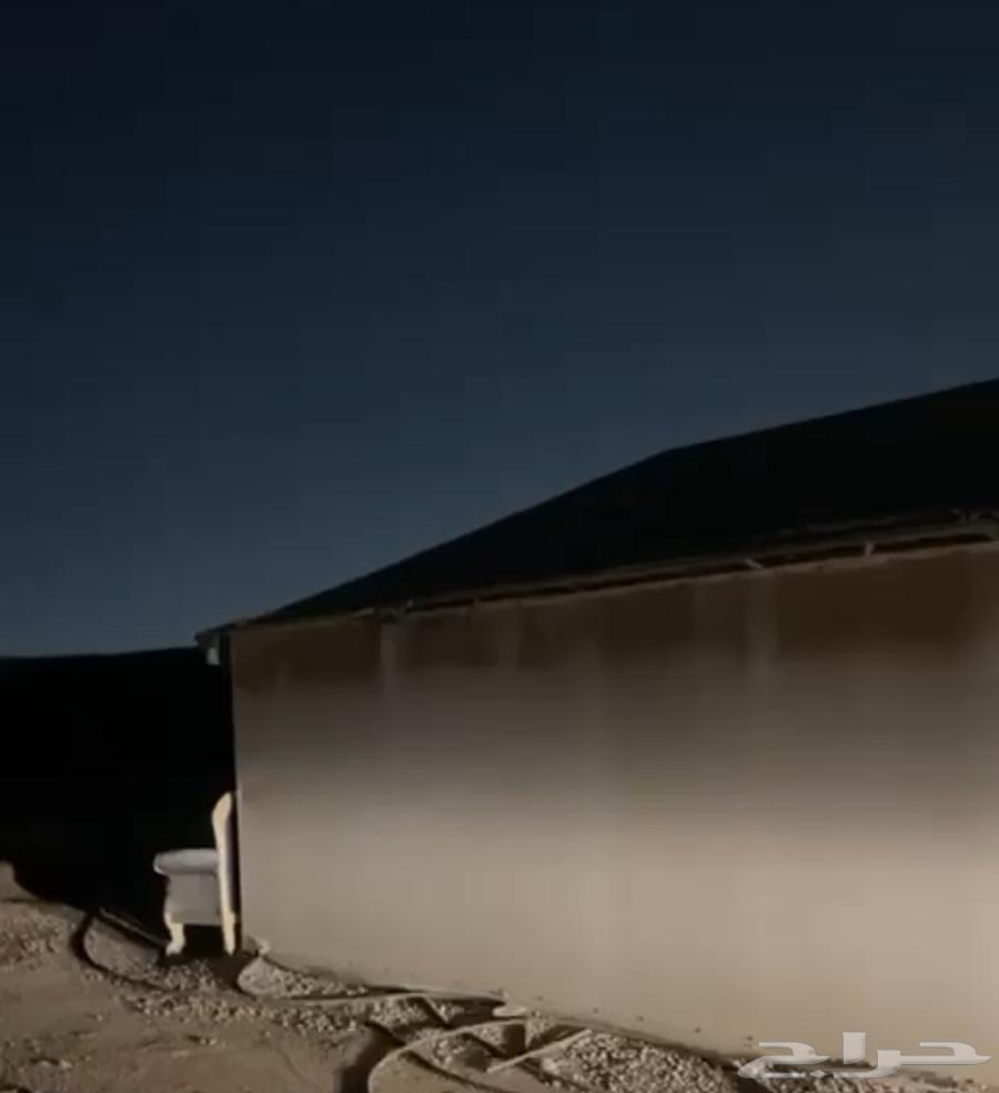 للبيع بيت شعر بحاله جيده مقاس 5 في 864624597443841111