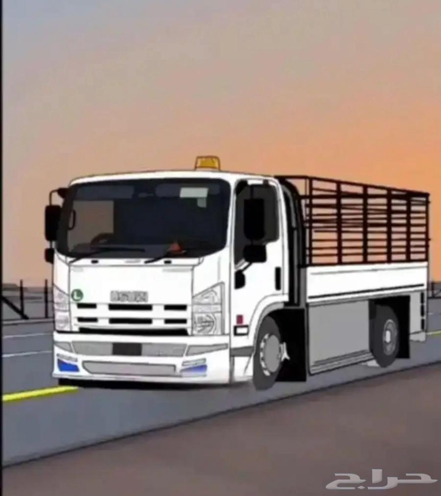 دنه دينا64160916279554110