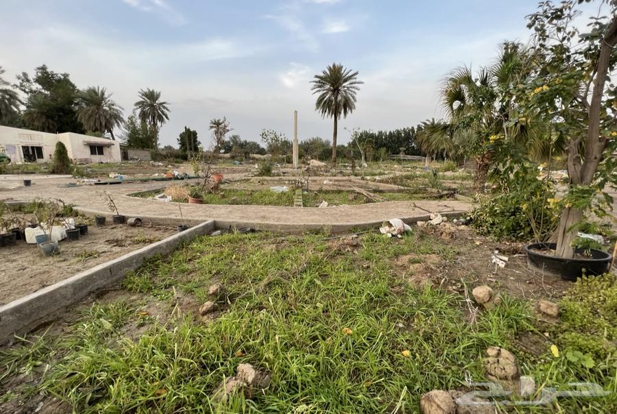 تأجير مزرعة بسعر مناسب على حسب المساحة المناسبة للتأجير64147628938498110