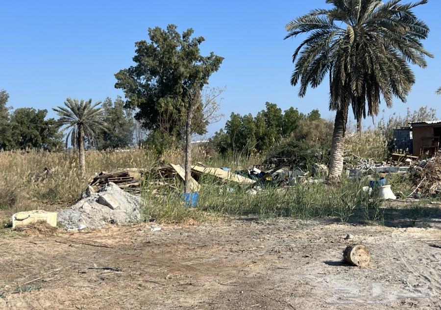 تأجير مزرعة بسعر مناسب على حسب المساحة المناسبة للتأجير64147628938498111