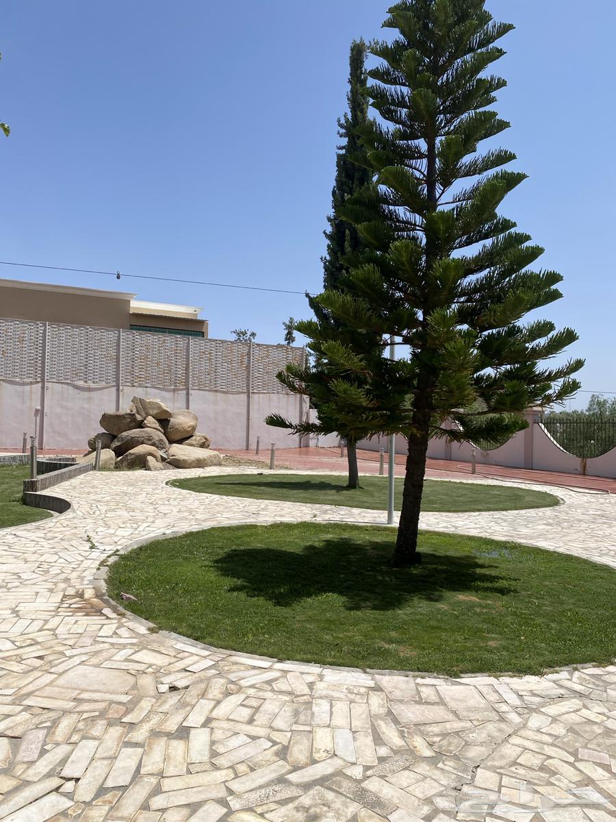 إستراحة للبيع