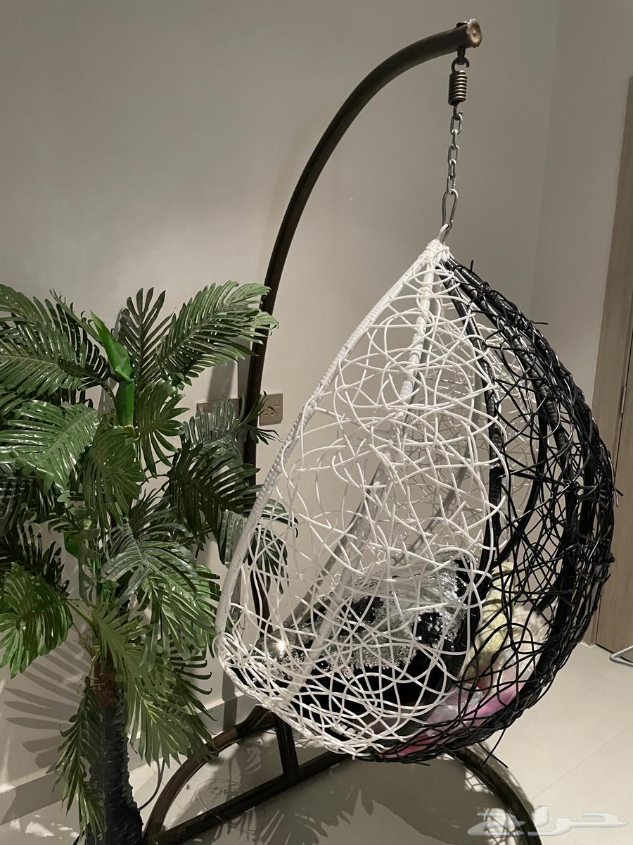 كنب ب250 ومرجيحه وشجره ع السوم64618739629570111