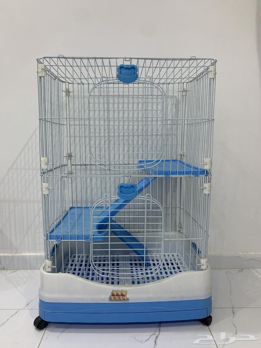 بيت للقطط64621005363331110