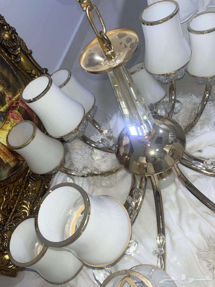 Chandelier, 12-light fixture64616554495747113