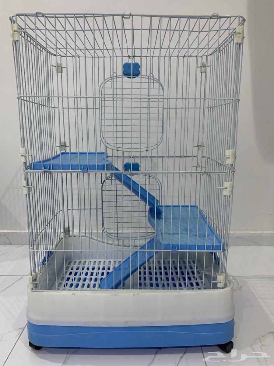 بيت للقطط64621005363331113