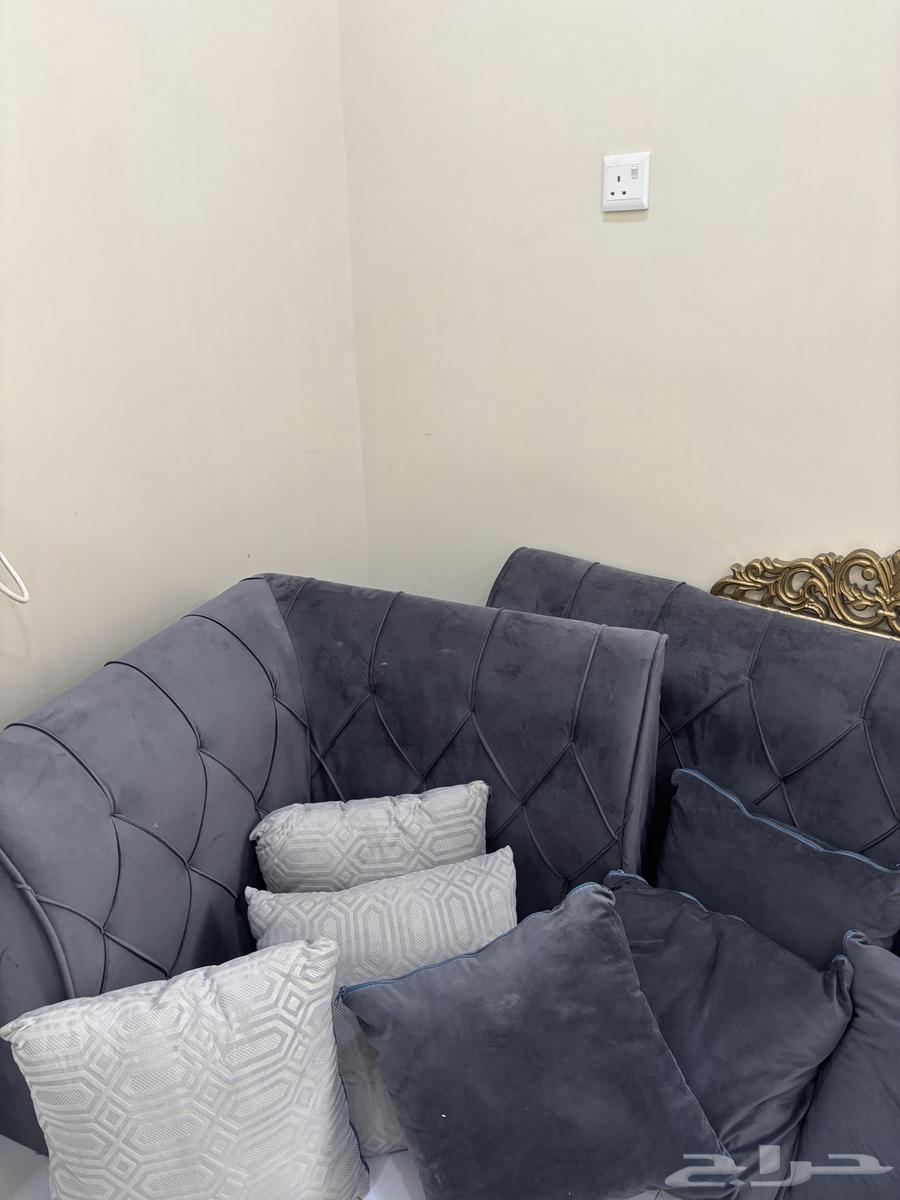 Clean Back Support64622278146945111