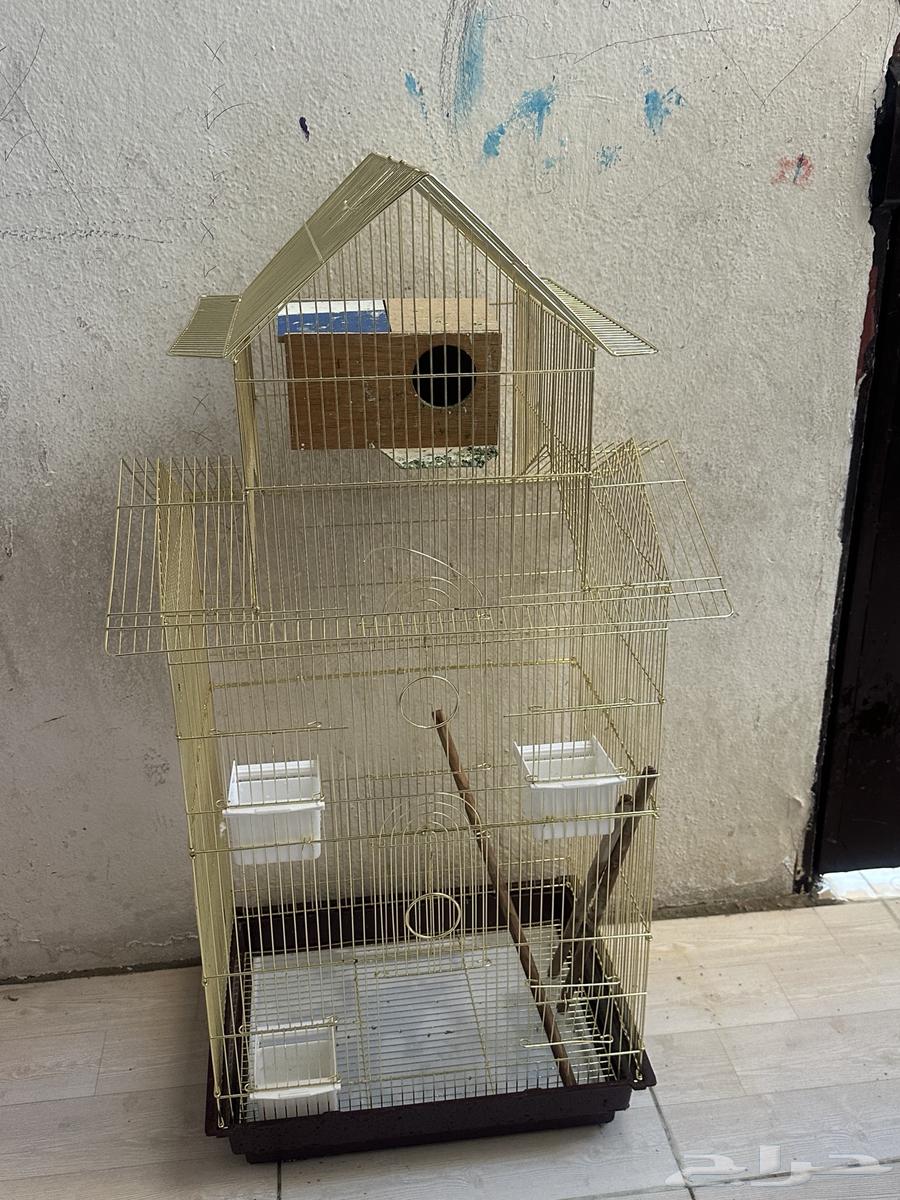 قفص دورين اخو الجديد64622475628417112