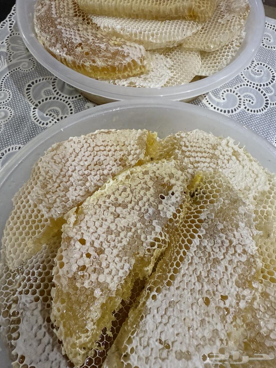 Qatad Al-Qursan Honey (Beeswax)64618451102465111