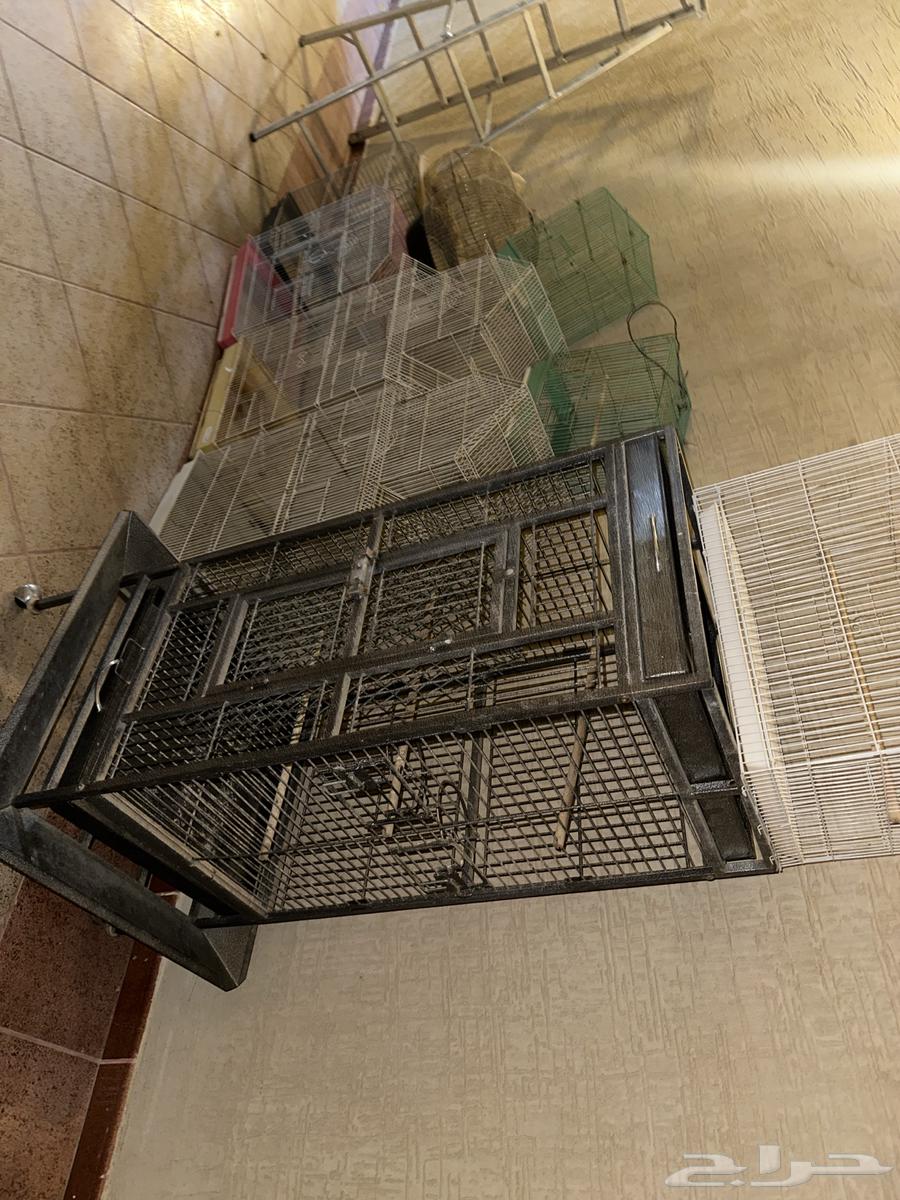 قفص ببغاء كبير64624511932546113