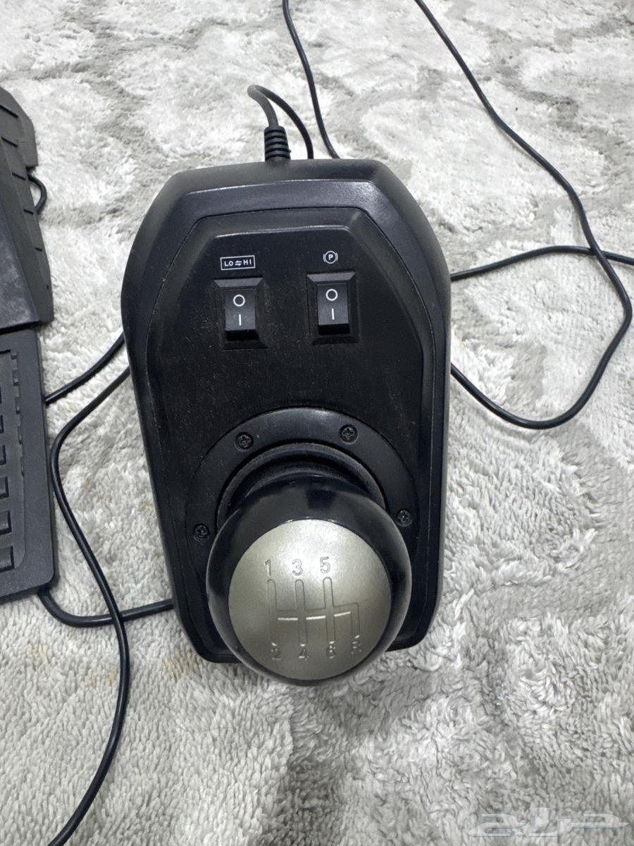 Tara Qayminq64621991910145111