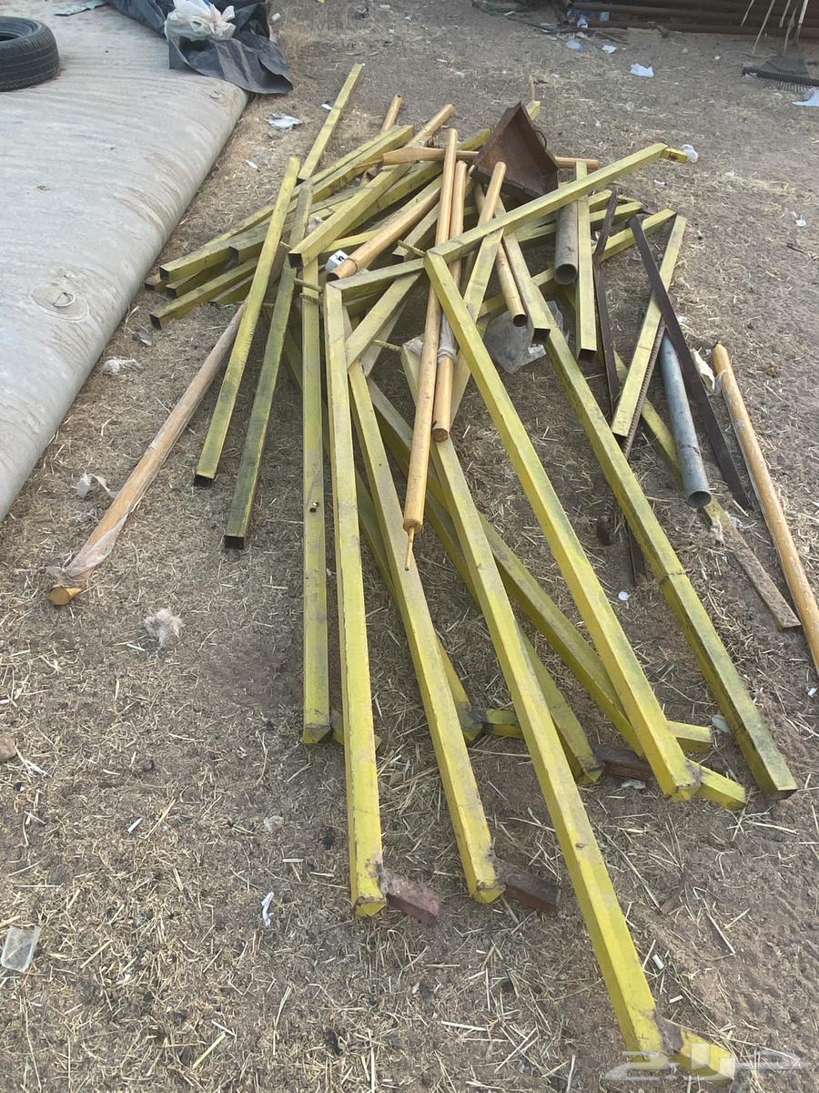 Jamalon Issue 7 or 864621654505731110