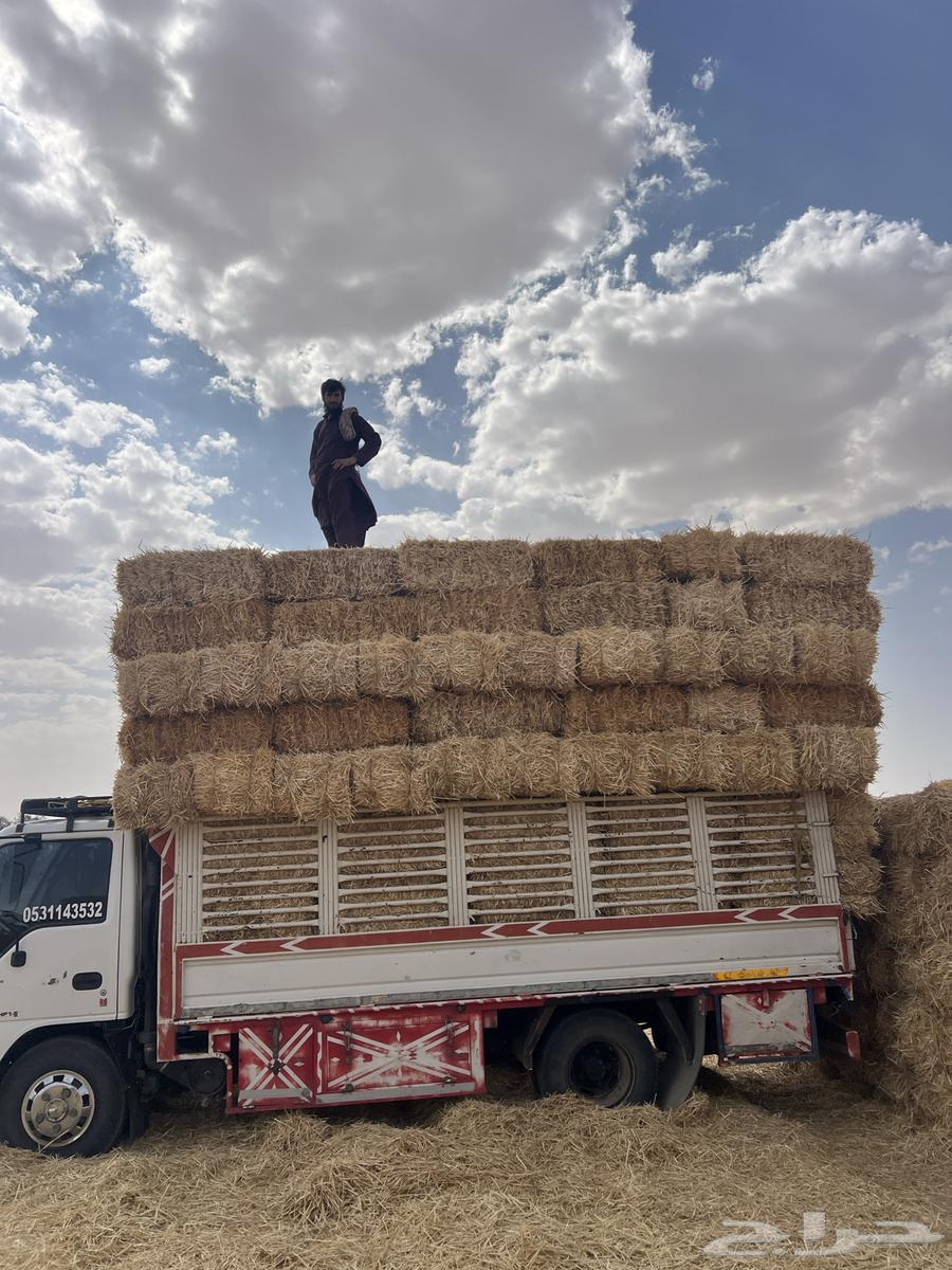 تبن بر جديد64621129847299112