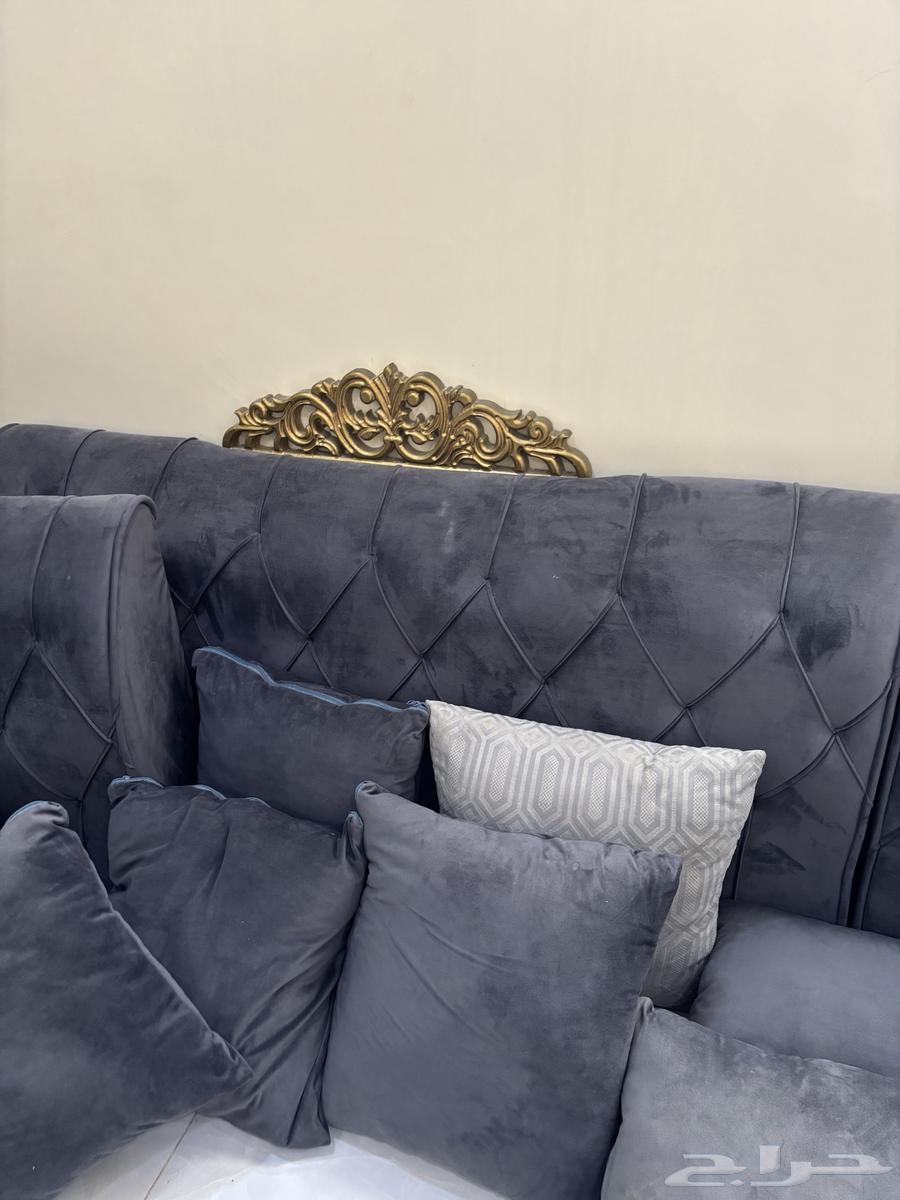 Clean Back Support64622278146945113