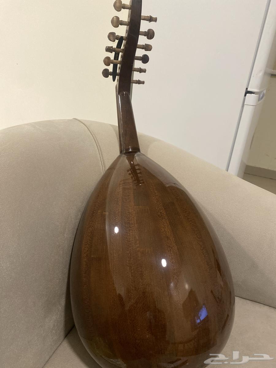 عود للبيع زرياب صوته جميللل64622388686850112