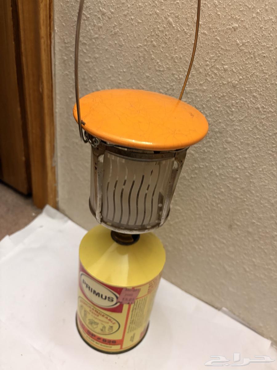 اتريك سويدي مع الدبة64622961878403112