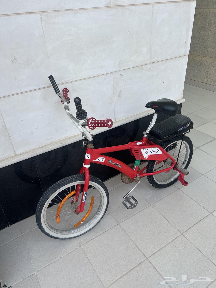 سيكل رامبو نظيف64619555234945114